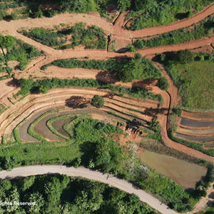 สวนป่าแม่จัน