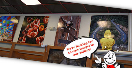 Shutterbug Gallery wall