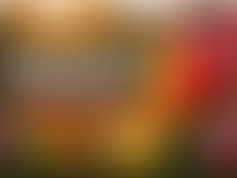 Flower Photography Tips