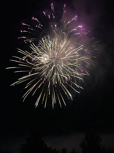 Fireworks in the night sky. Top Tips for Shooting Fireworks theshutterbug