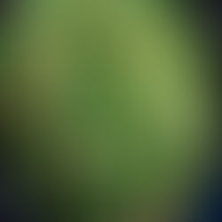 Collard Greens à la Benin