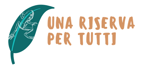 domenica%2013%20(1)_edited.png