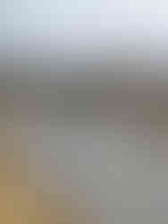 École de Taillebourg © Moreau Lathus Bâtiment