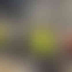 Équipe Béton Solutions - ©Moreau Lathus Bâtiment