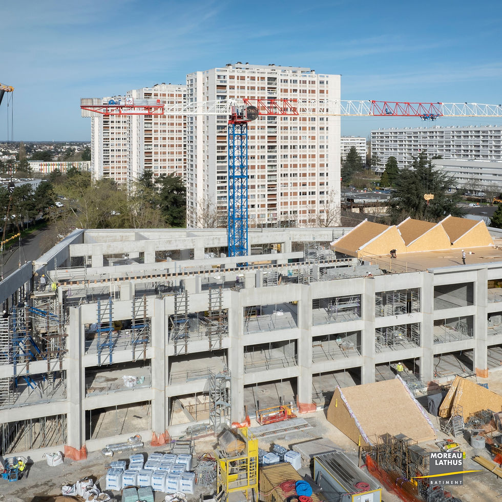 Grue Raimondi MRT 263