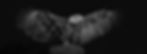 Eagle has landed 4BW copy.jpg