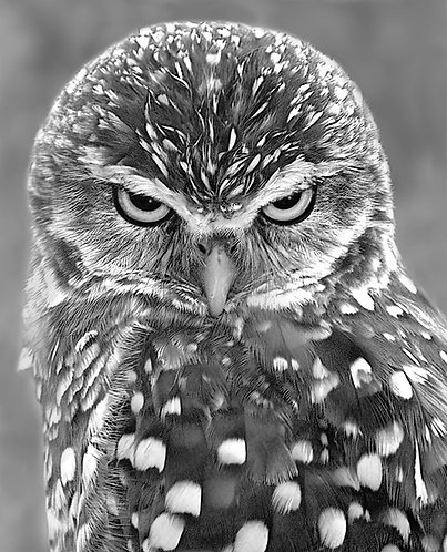 Back it up, Buttercup