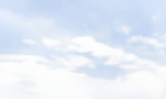 bg_top2.png