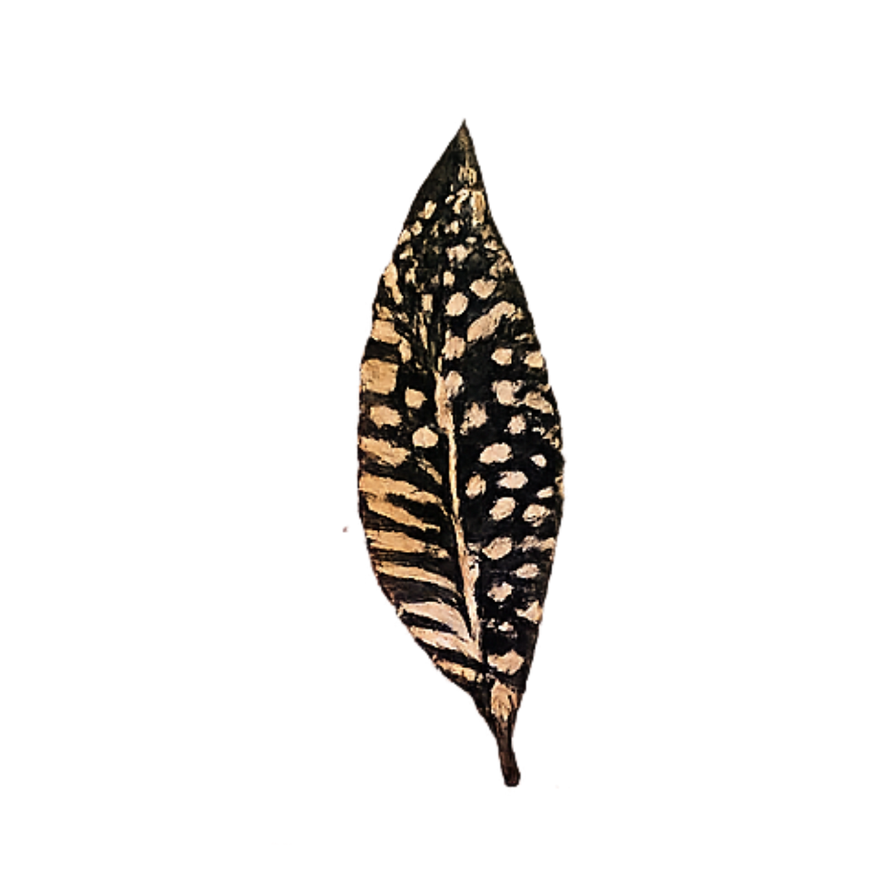 Leaf 1.png