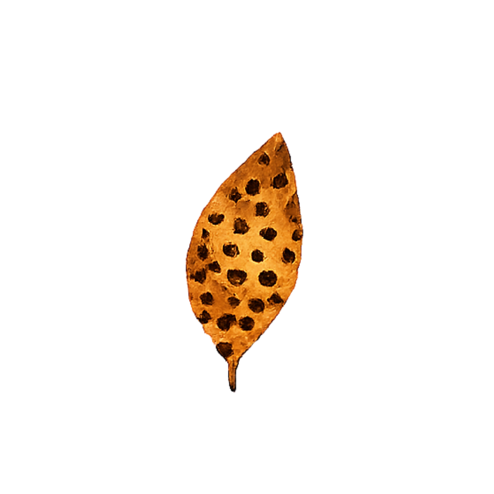 Leaf 8.png