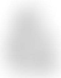 A PEACEFUL NOISE MEMORIAL CONCERT