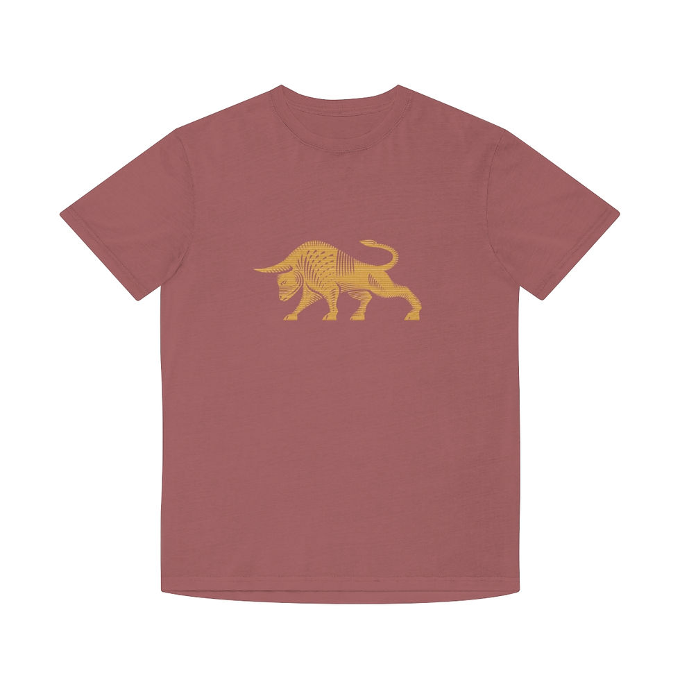 Thumbnail: FMBJ Faded Shirt