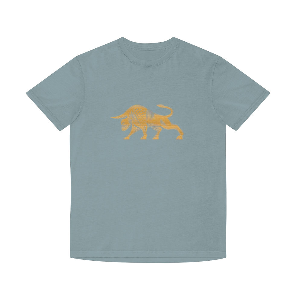 Thumbnail: FMBJ Faded Shirt