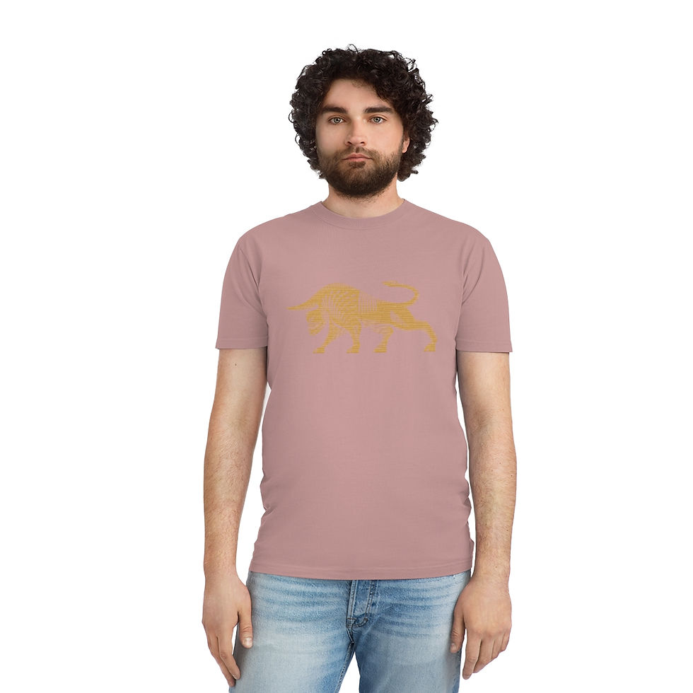 Thumbnail: FMBJ Faded Shirt