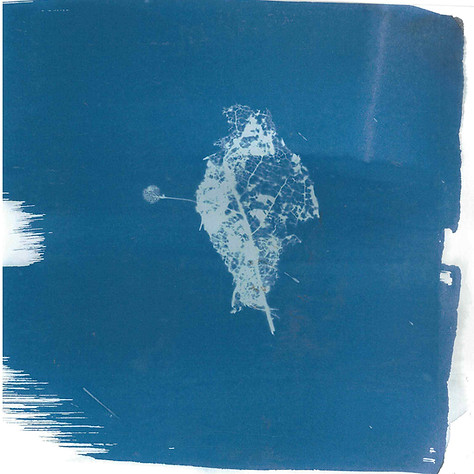 scan_collinpg24_2025-10-03-11-29-36-copy