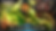 t5.png