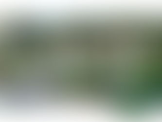 Sun Group ra mắt 'ngôi làng nhiệt đới Sun Tropical Village ' tại Nam Phú Quốc