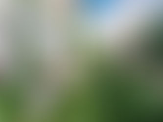 Giới thượng lưu với xu hướng tìm kiếm second home tại vùng biển đảo - Sun Tropical Village Phú Quốc