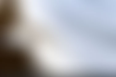 Penhora de Bens: Entenda o procedimento e seus limites legais