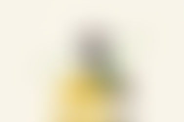 Franquias consolidadas há mais de uma década são escolha estratégica de empreendimento