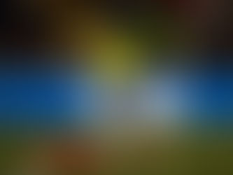 Brasil tem favoritismo para encarar a França na Copa do Mundo Feminina, aponta a Betfair