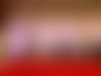 Encontro conecta Brasil e Moçambique