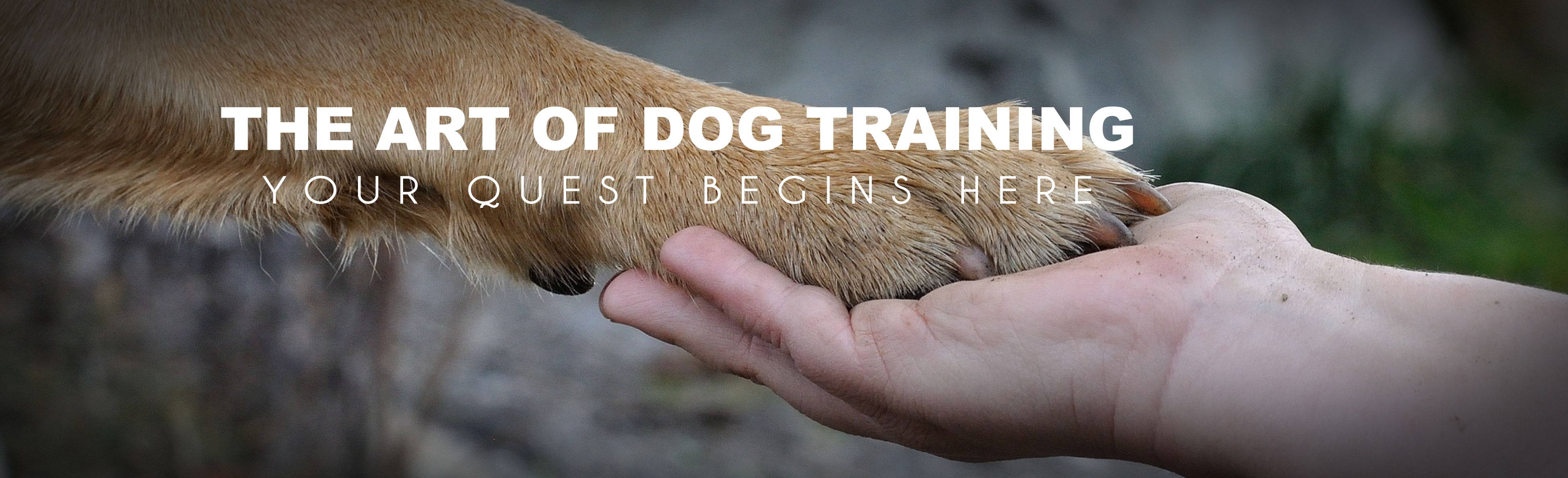 Top Tier K9 Dog Trainer School