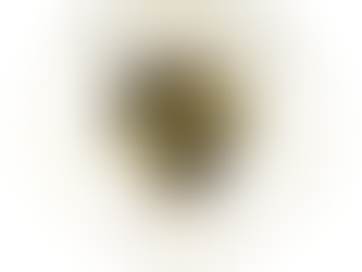 Certified Master Pet Trainer Program