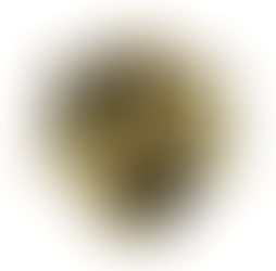 Business Bootcamp 1-5 October