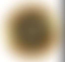 Welcome Top Tier K9 - O'Fallon MO