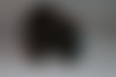 Thank You for a Great 2022