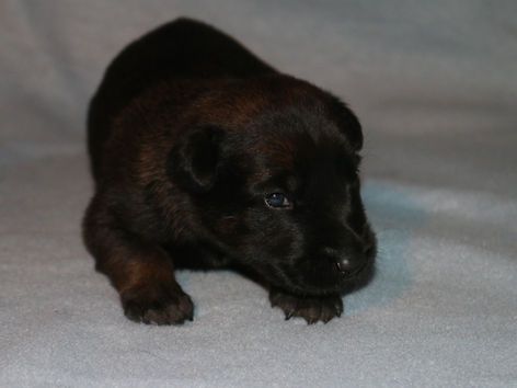 Thank You for a Great 2022