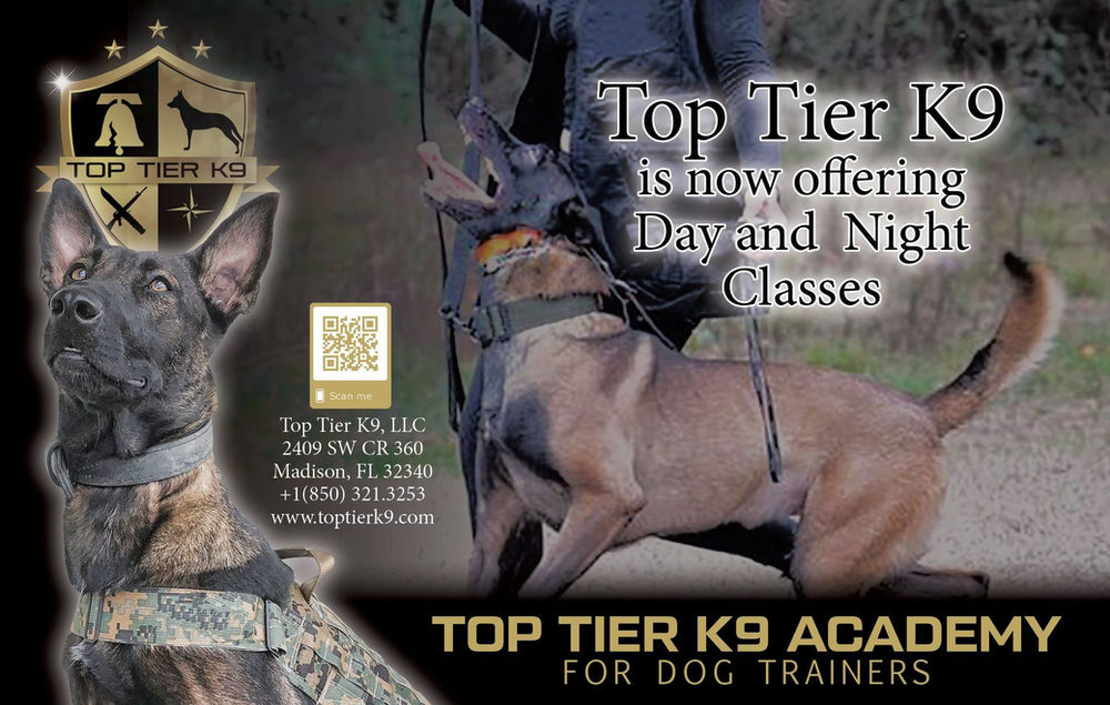 Top Tier K9 Student Benefits
