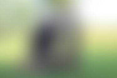 Affiliate Testimonial