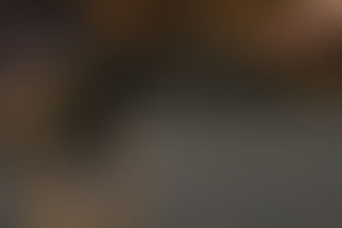 New Puppies Arriving