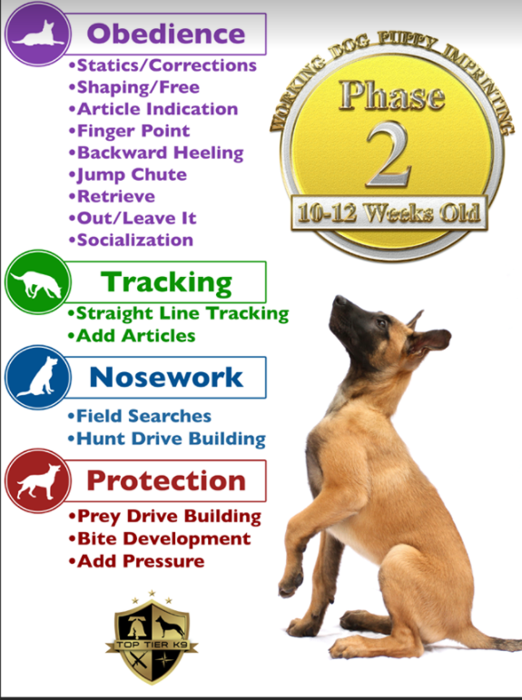 Top Tier K9 Dogs For Sale