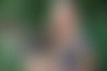 Tallahassee, FL, November 3, 2014: Top Tier K9 has added Kari Koch as its Director of Operations.