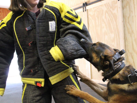 Protection Dog Group Classes