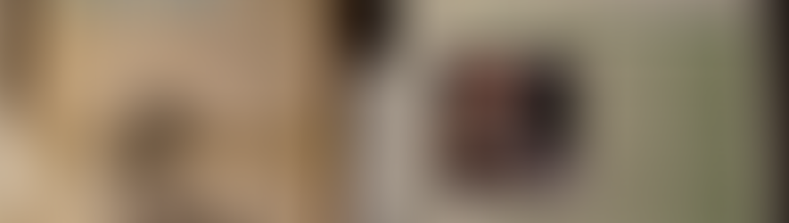 Virtual Reality Dog Training Center