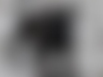 Virtual Reality, Trainer Classes and Puppies