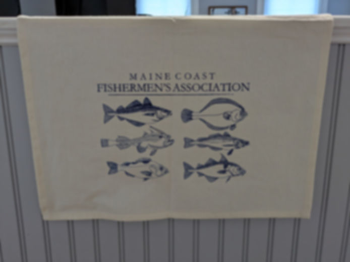 Fishes of MCFA Tea Towel