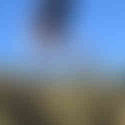 James Forrest wearing Columbia Men's SH/FT OutDry Mid Shoe for review