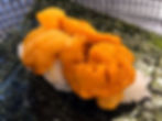 うに