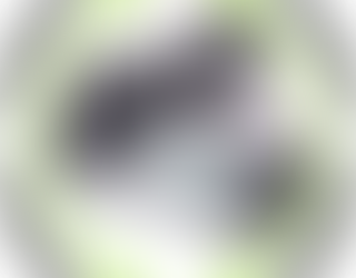 greenbox® – the verification of individuals
