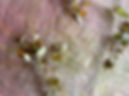 Screenshot 2025-01-14 at 4.00_edited.jpg