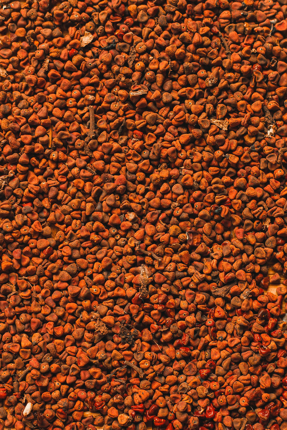 Thumbnail: Annatto / Achiote Dye Extract