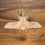 Thumbnail: Love bug eco paint kit