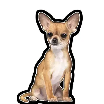 Thumbnail: Chihuahua on Leggings by E&S Pets