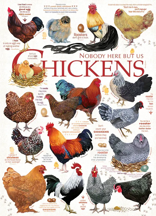 Chicken Quotes 1000 Piece Chicken/Rooster Puzzle by Cobble Hill