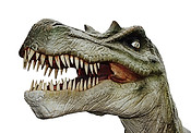 dinosaur